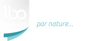 logo lbo experts